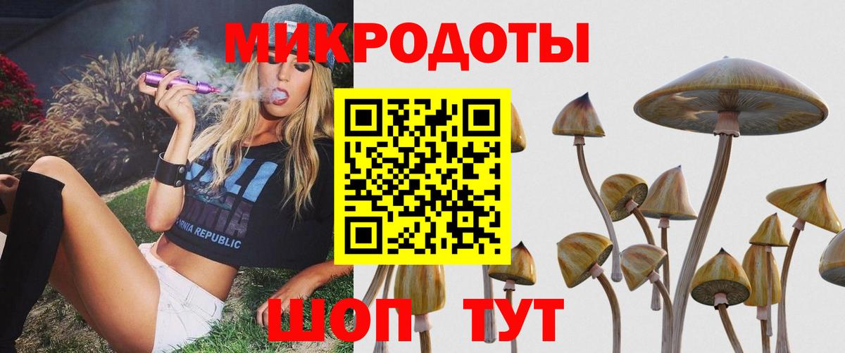 Псилоцибиновые грибы GOLDEN TEACHER Благовещенск