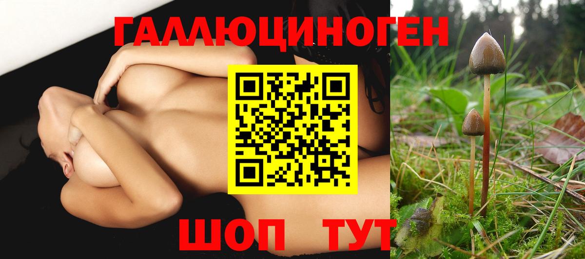 Псилоцибиновые грибы прущие грибы  Вход с VPN  Благовещенск 